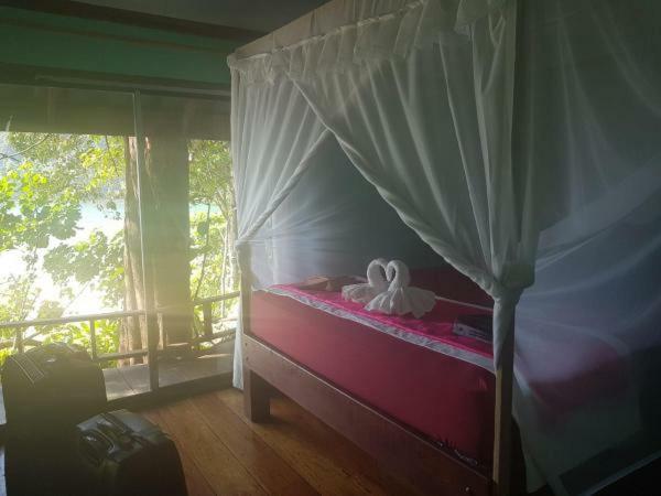 Homestay Starlight