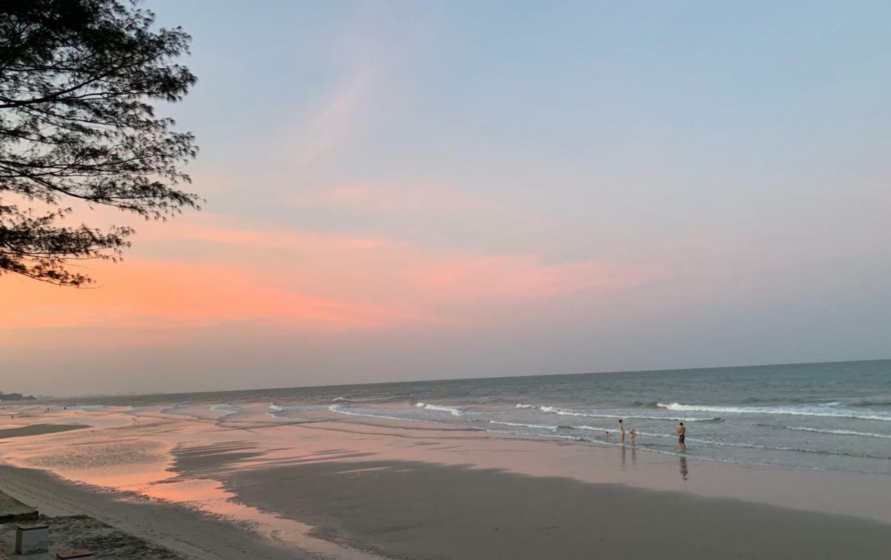 Loligo Hua Hin