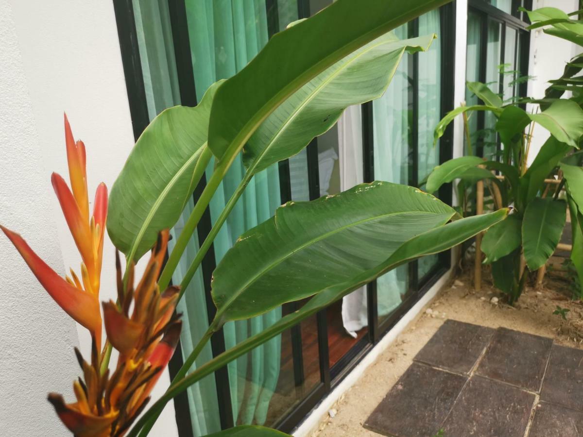 Mango T. Chiangmai Resort Chiang Mai