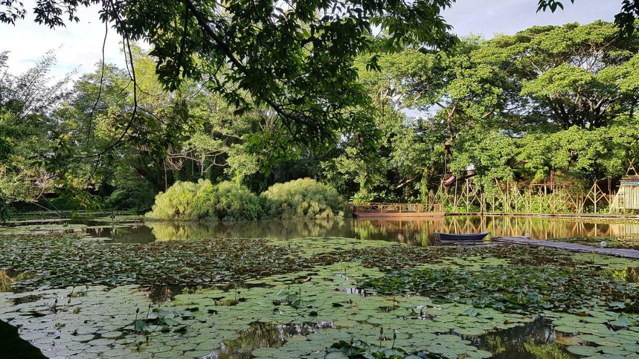 Resort Saikaew Chiang Rai