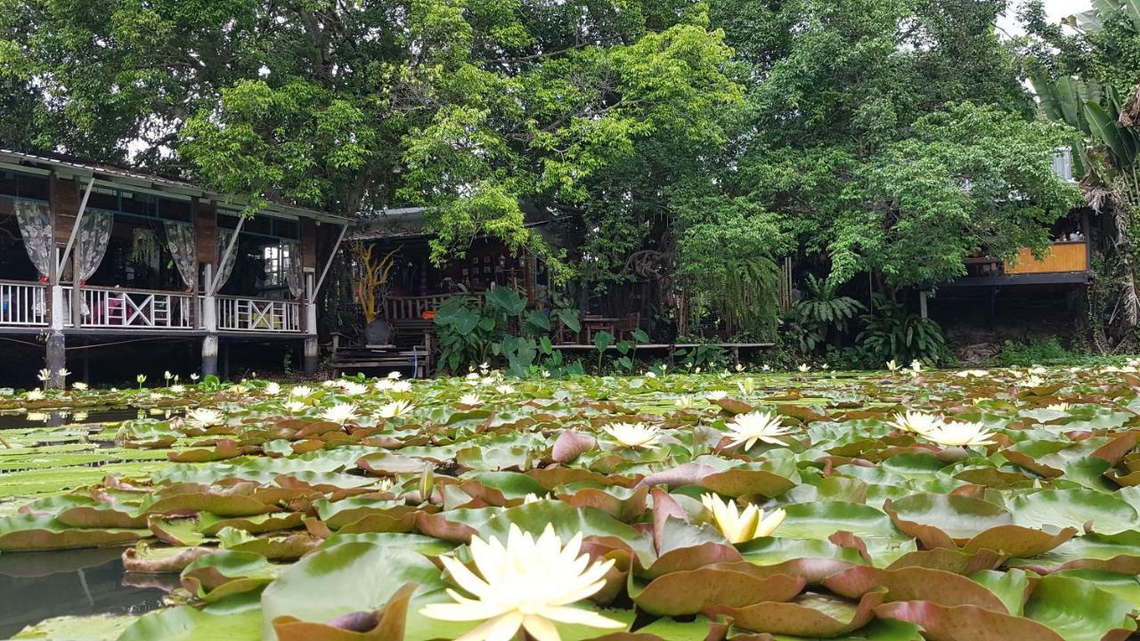 Saikaew Chiang Rai