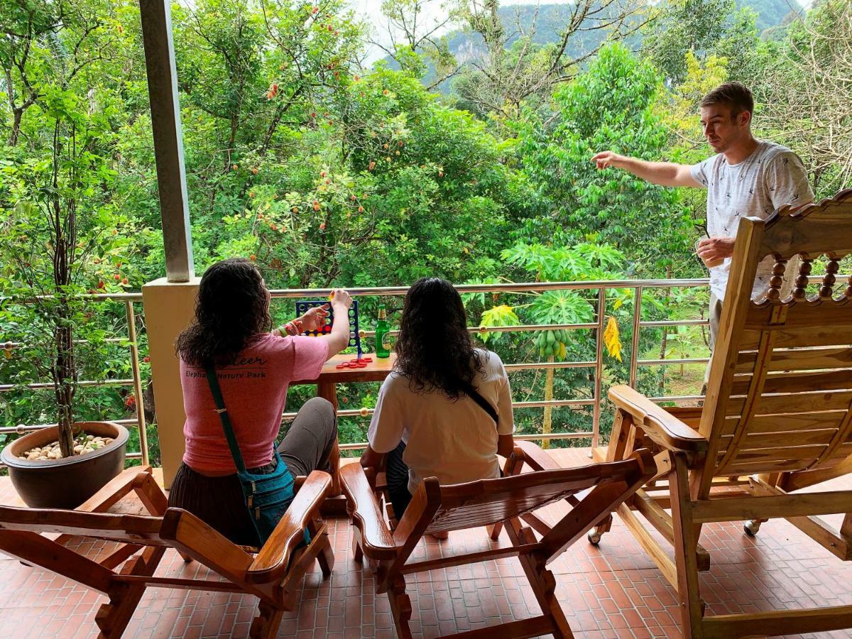 Coco Khao Sok Hostel