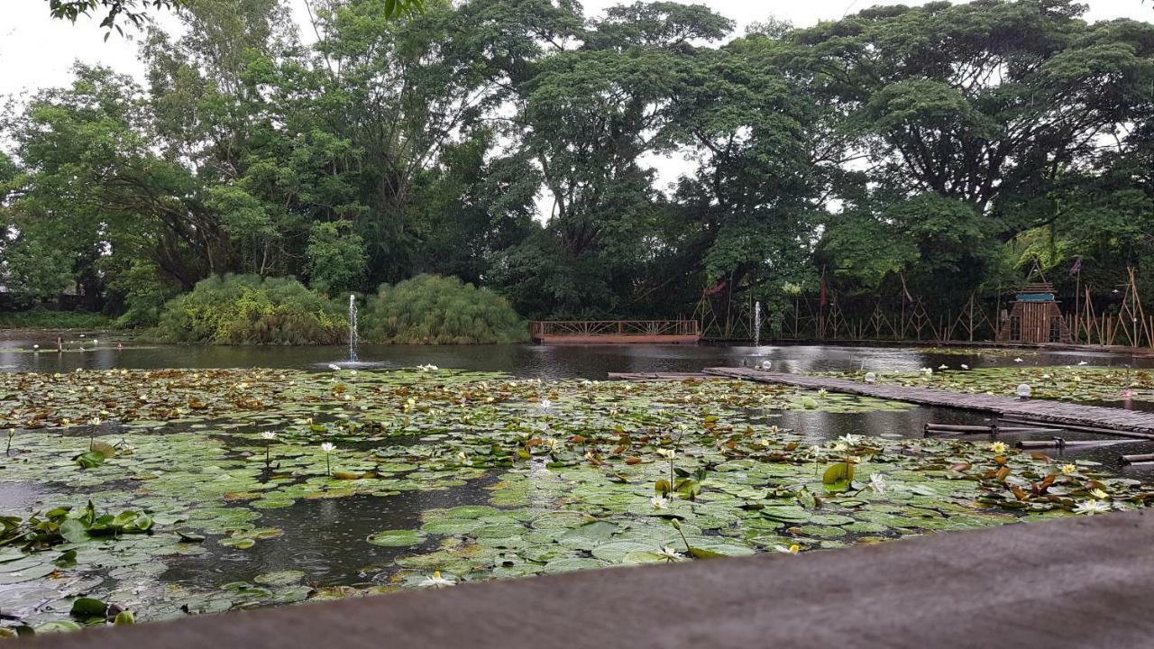 Saikaew Chiang Rai