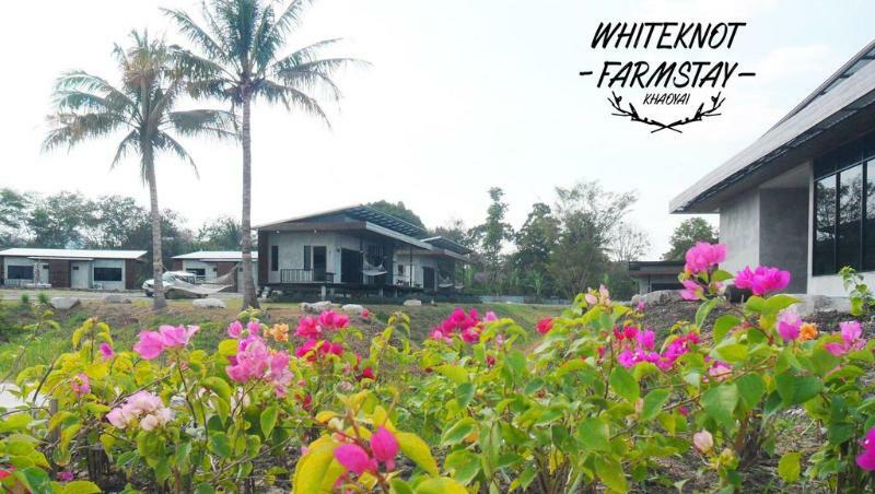 White Knot Khao Yai 3*
