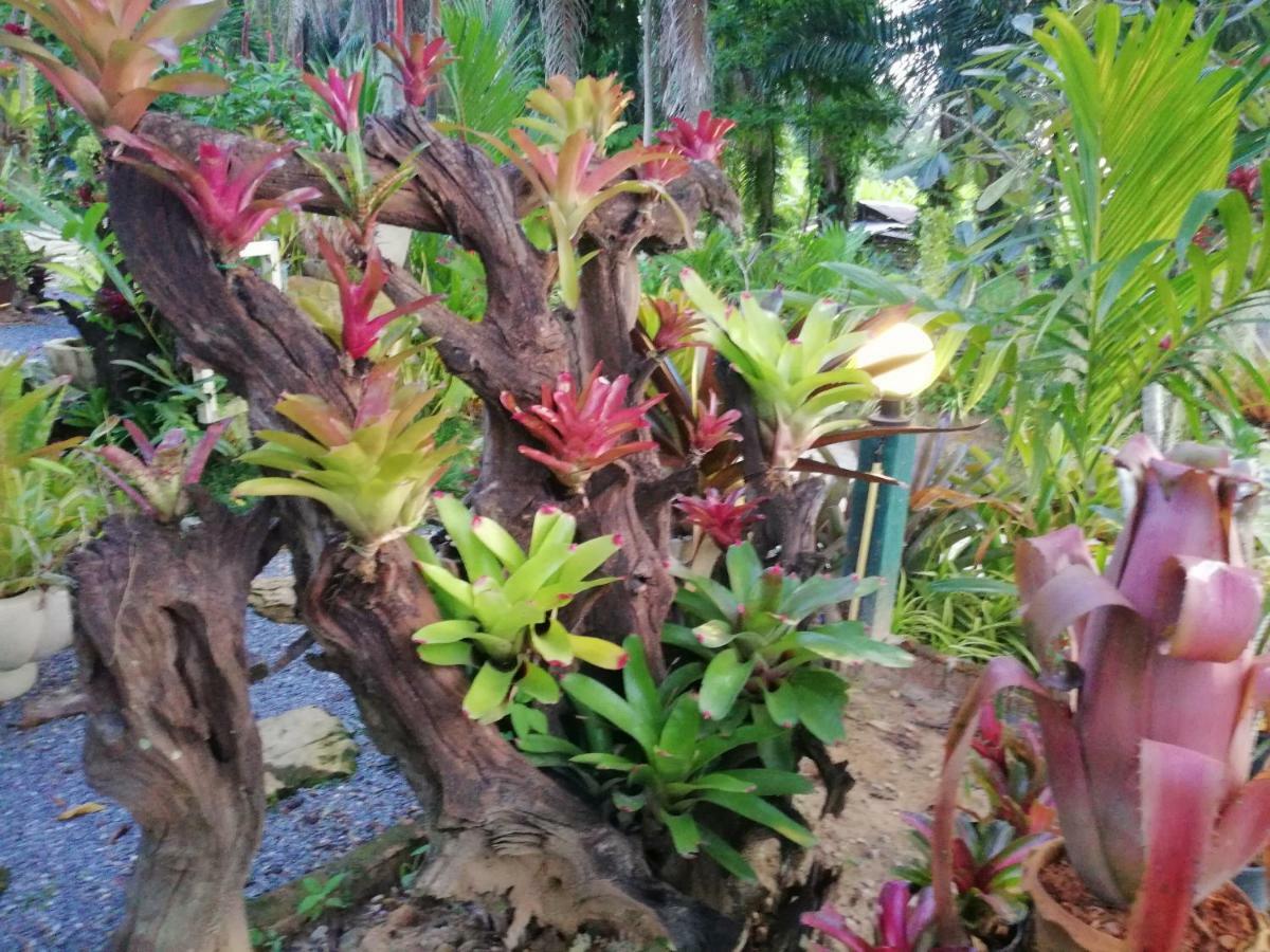 Smile Krabi Klong Moung Holiday home