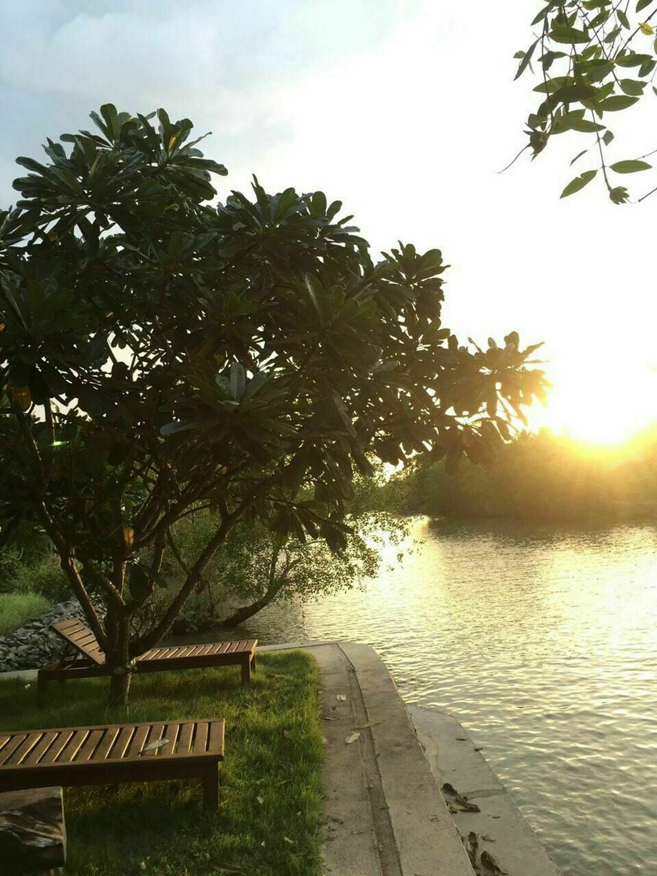 Resort Club 3*