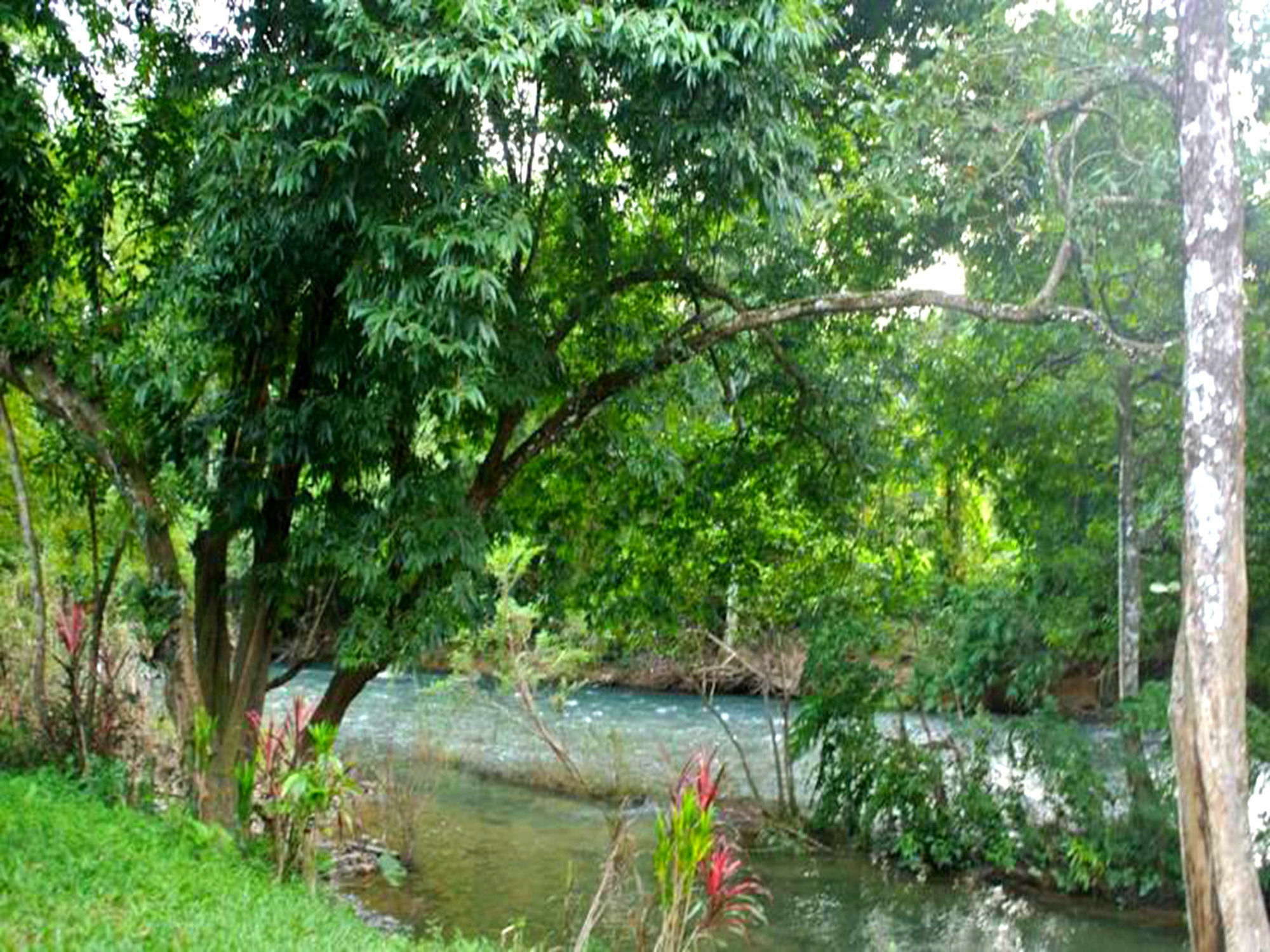 Khaosok Island Guest house