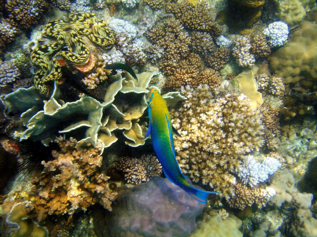 Cococape 3* Koh Mak