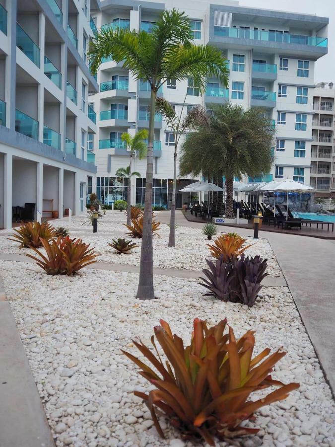 Apartment Grand Blue By Mary