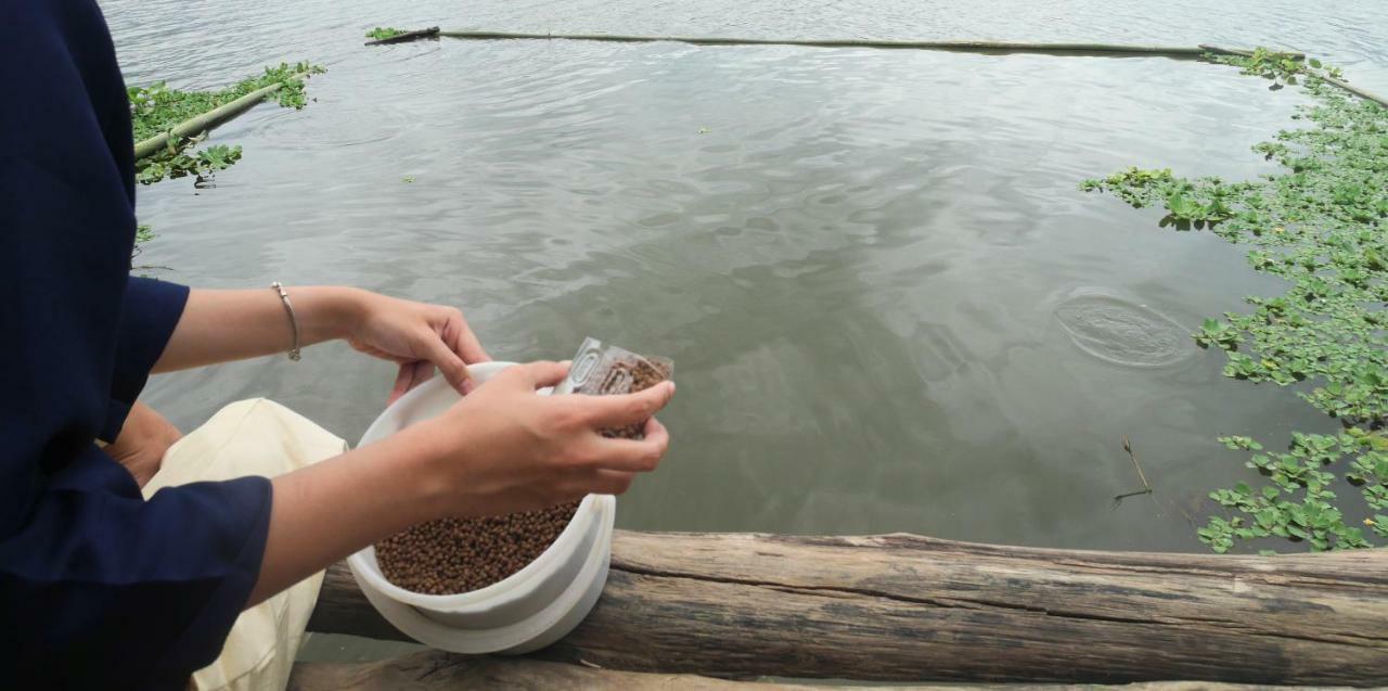 Resort Doi Inthanon Riverside Chom Thong