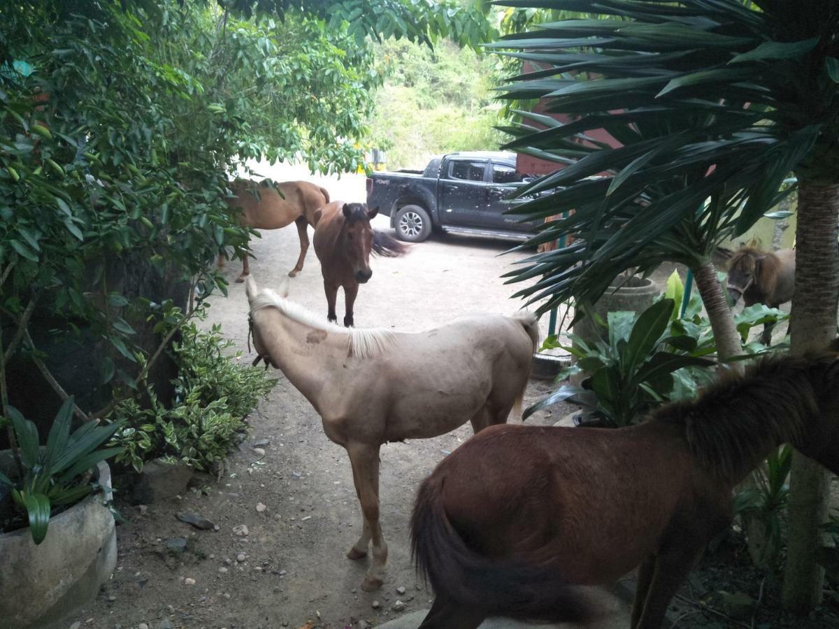 Viewpoint Guest house Phang Nga