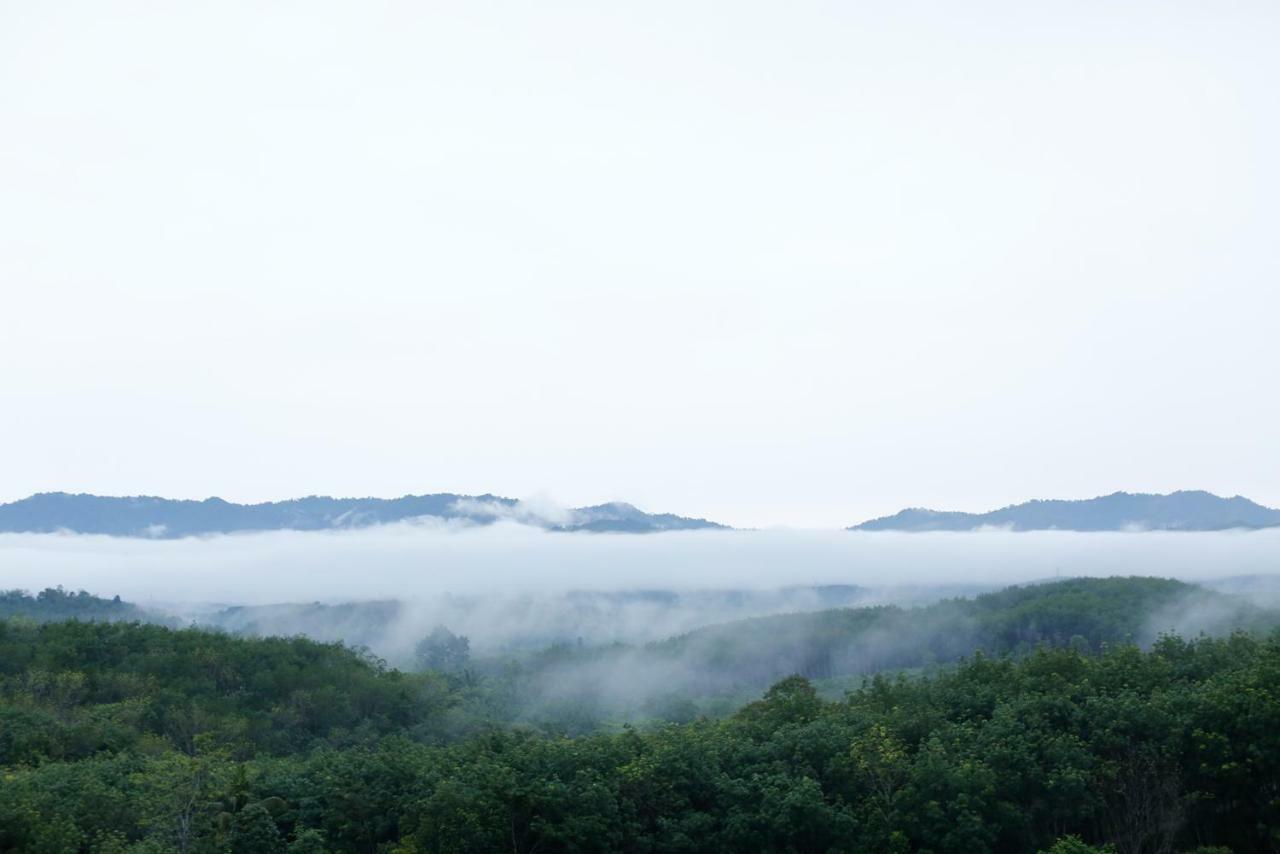 Viewpoint 2*