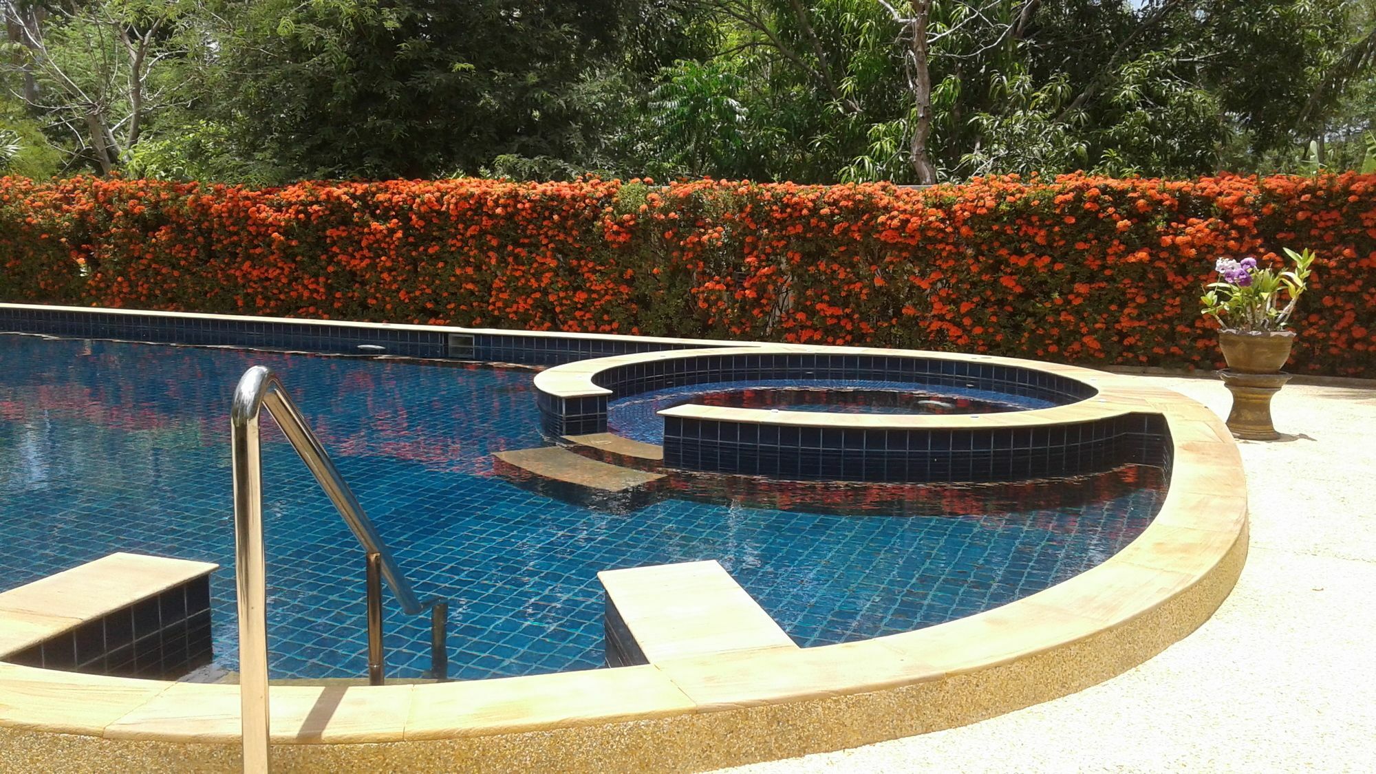 Swiss Orchid Private 3*