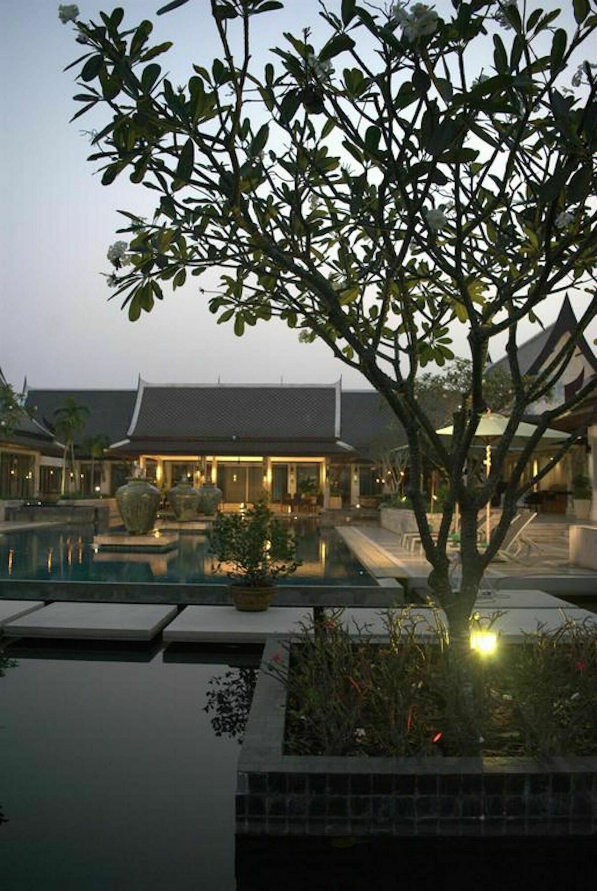 Ddm Siam Thailand *