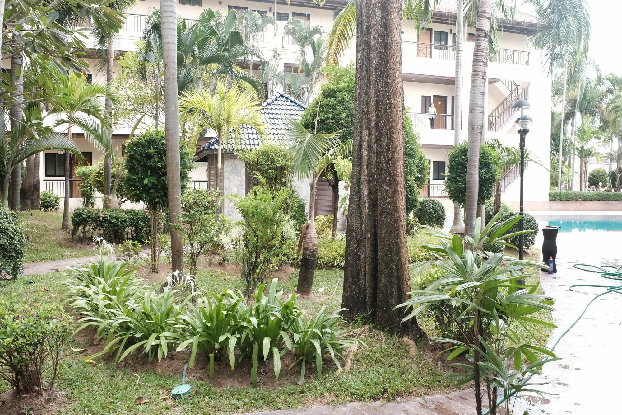 Grand Garden &