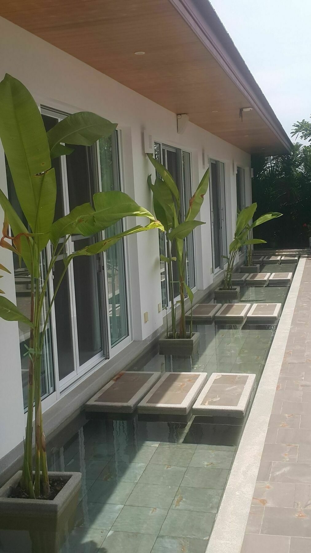 Villa Blue Dream