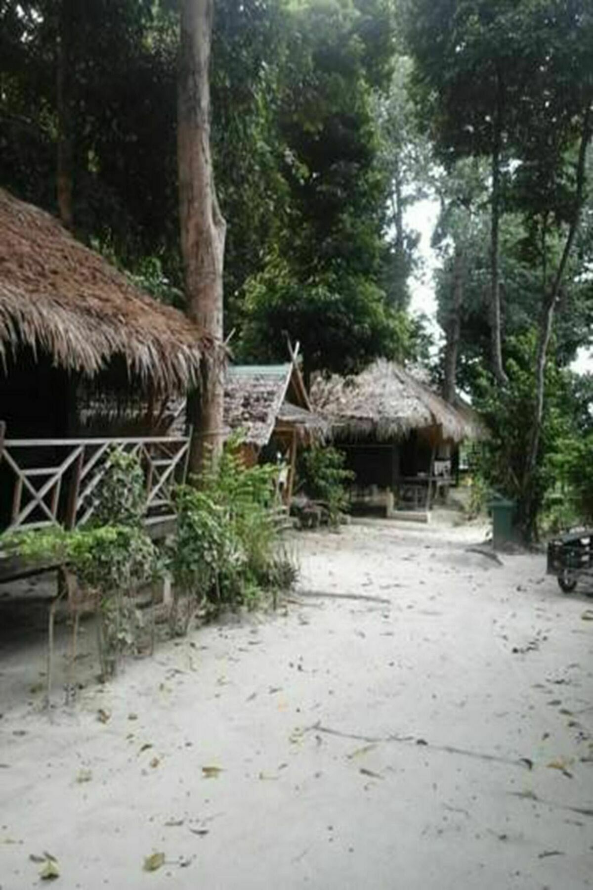 Art Garden 2*