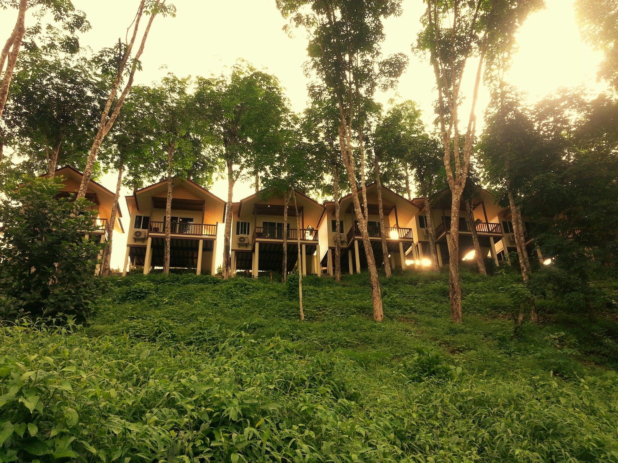 Resort Khao Sok River 2*
