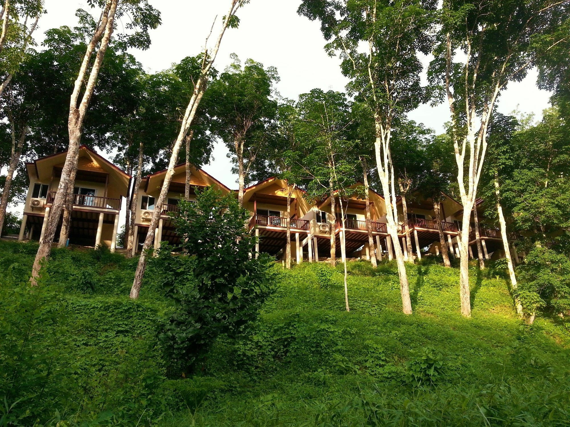 Resort Khao Sok River 2*