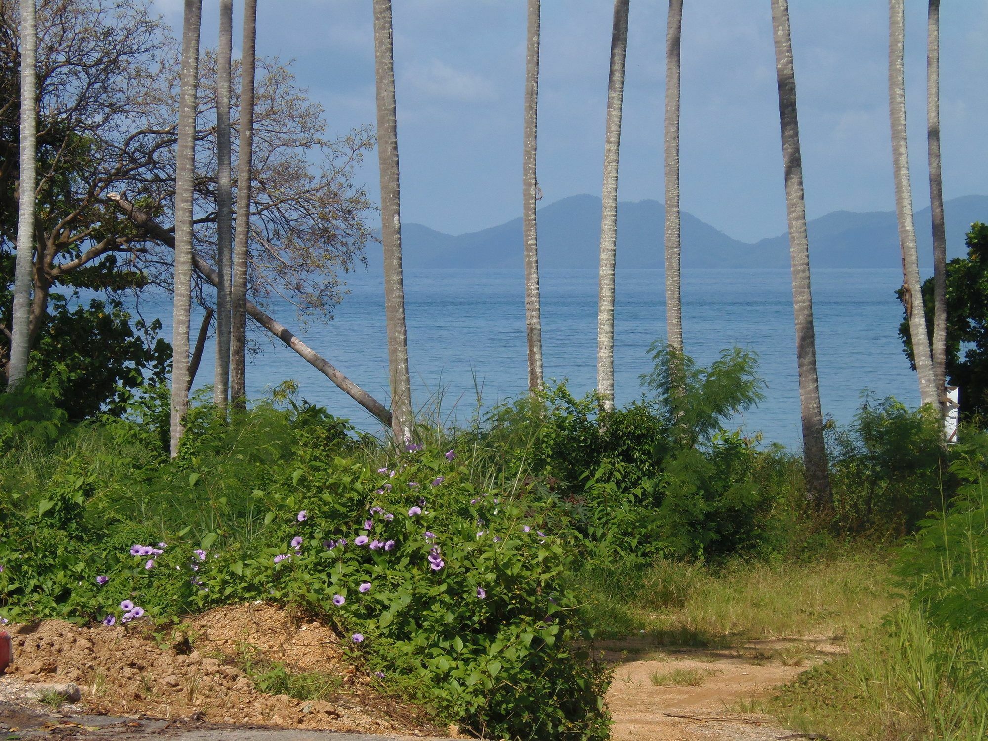 Elephants End Krabi Guest house 2*