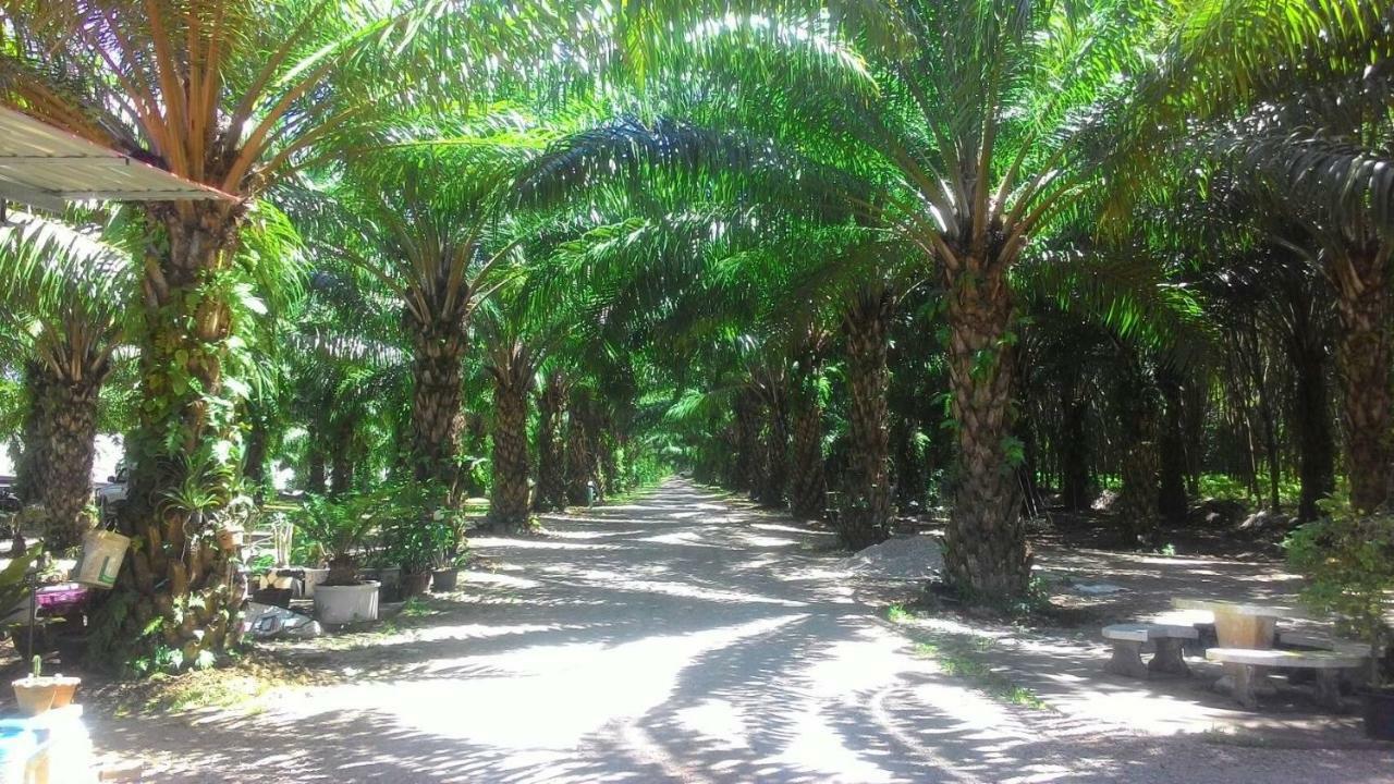 Resort Palm Kaew 2*
