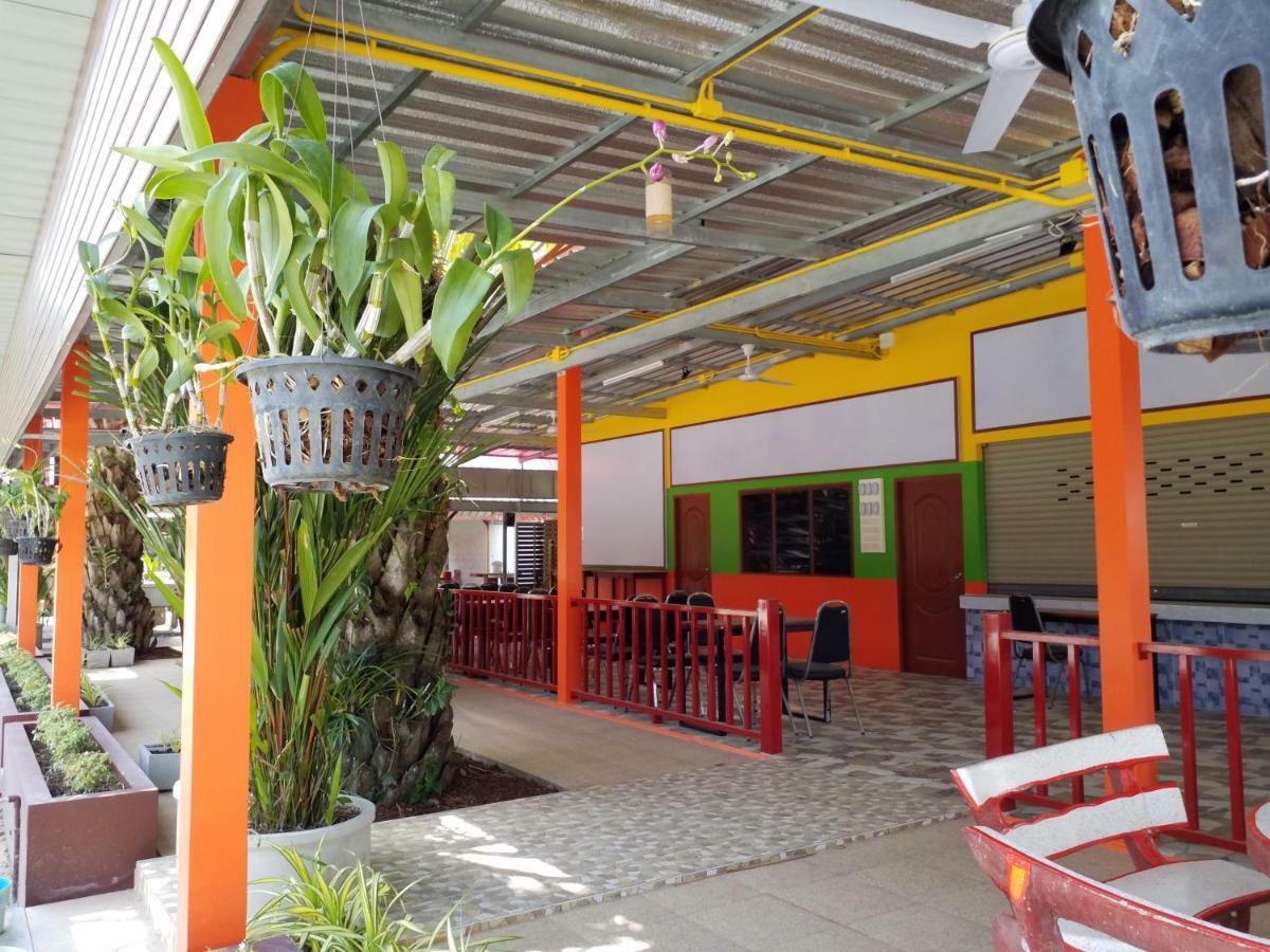 Palm Kaew 2*