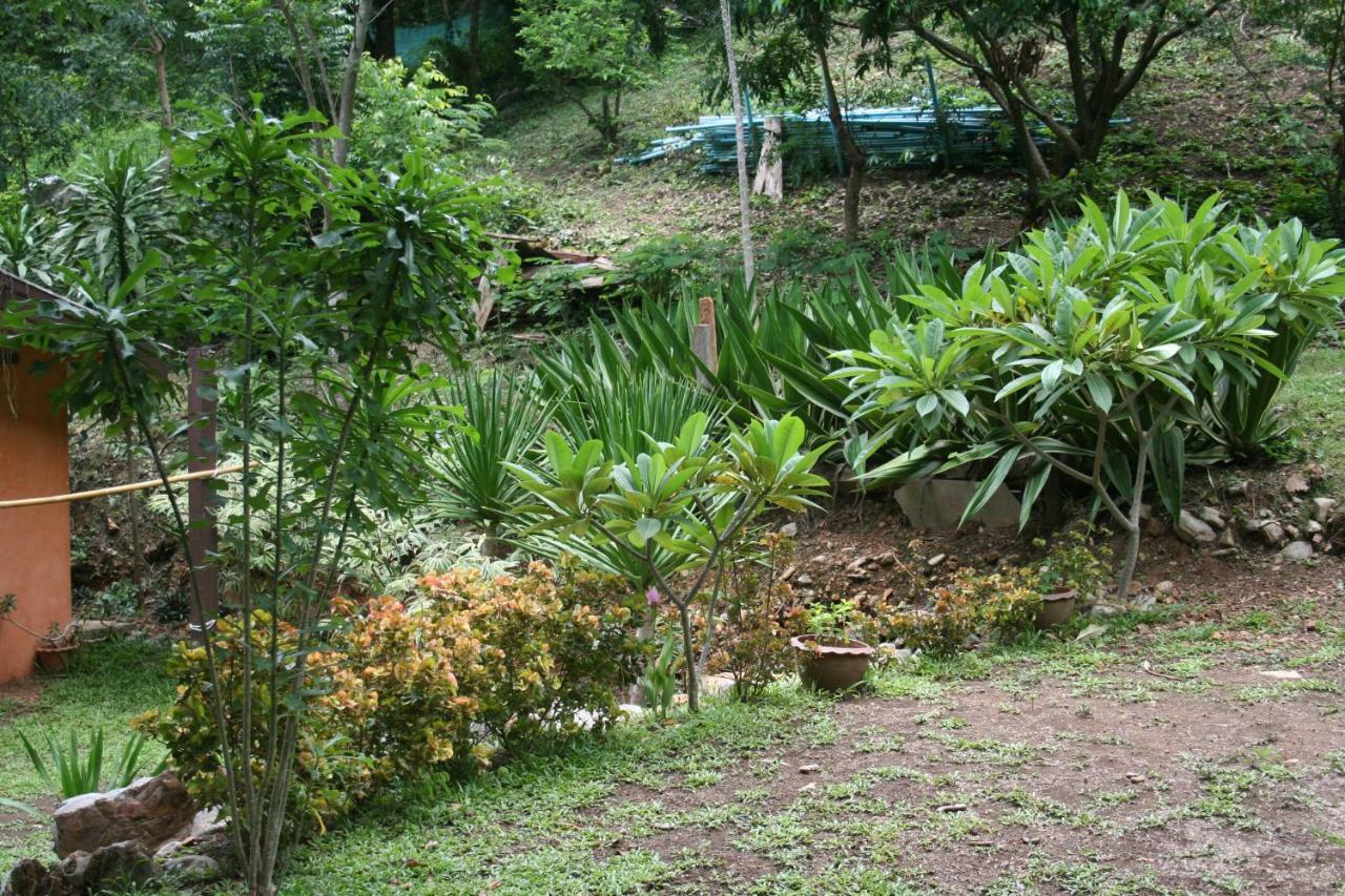 Baan Til Dao Pround Fah * Phayayen