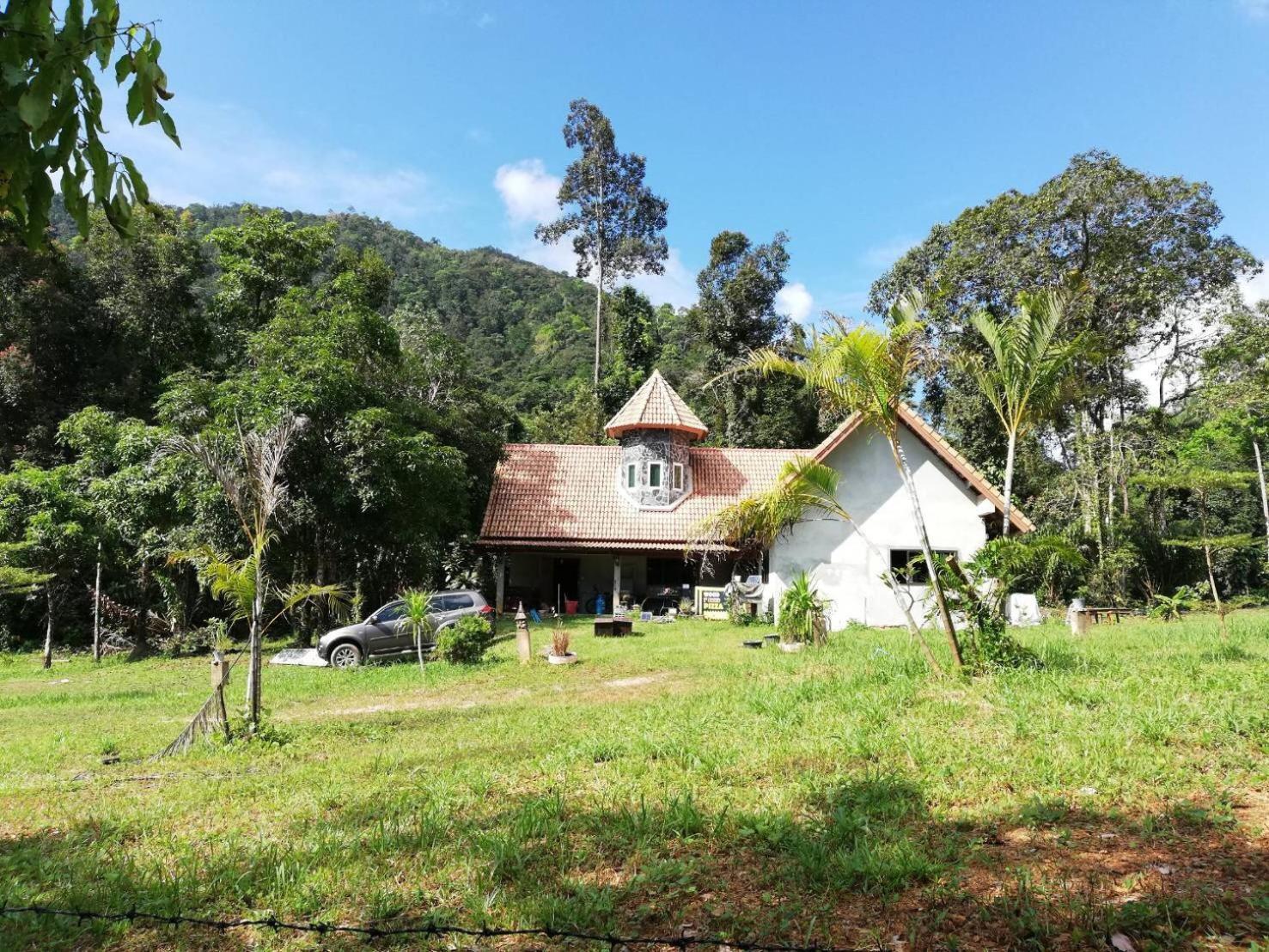 Homestay Homebar *
