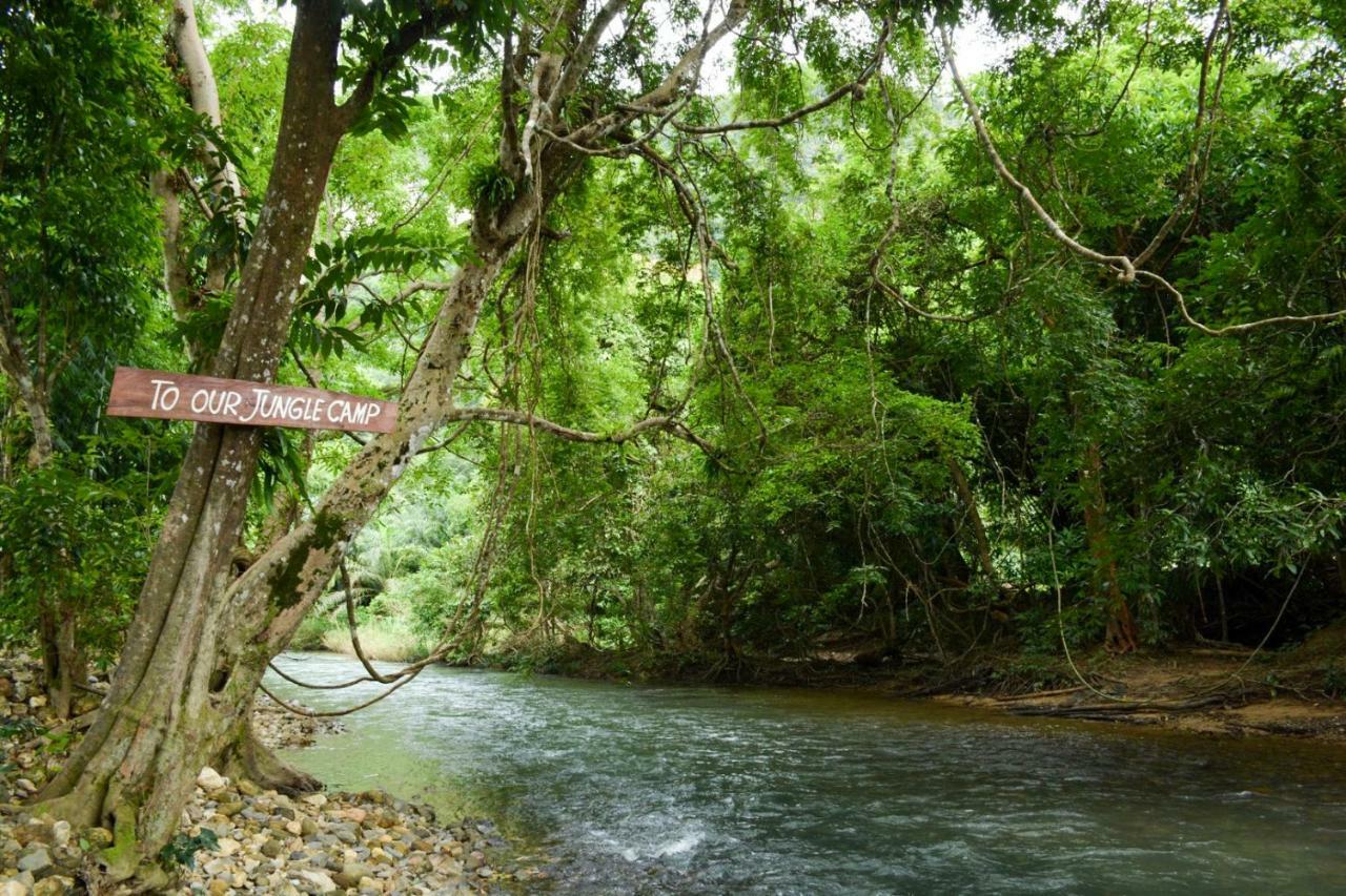 Our Jungle Camp - Eco Resort