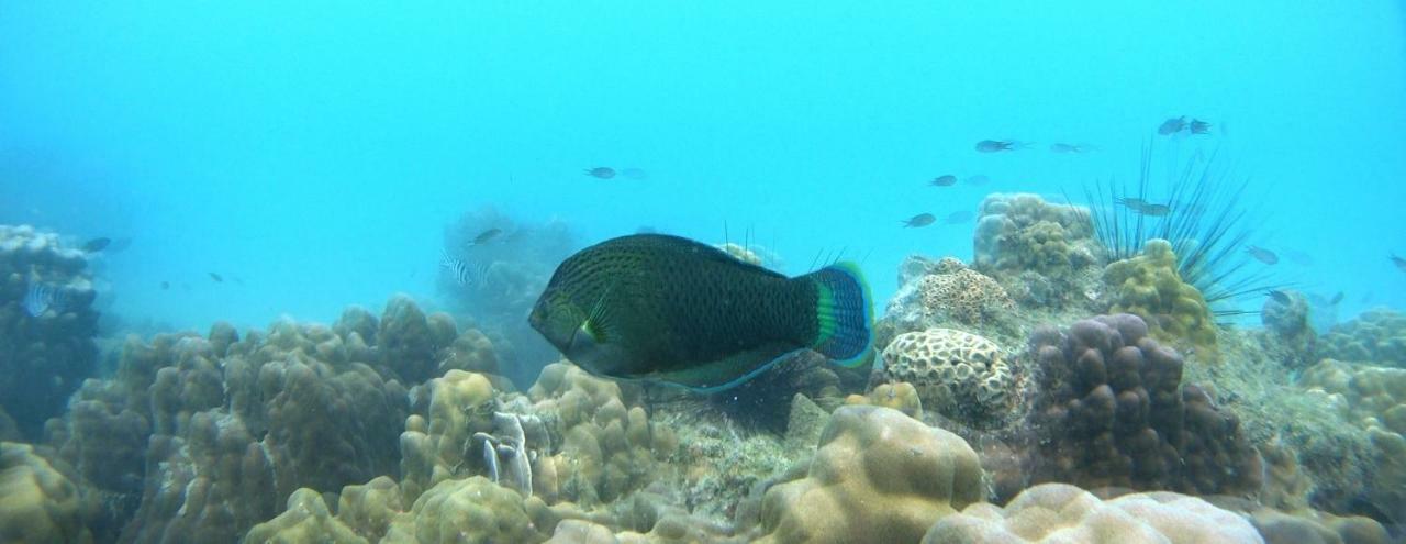 Ao Pong Koh Mak