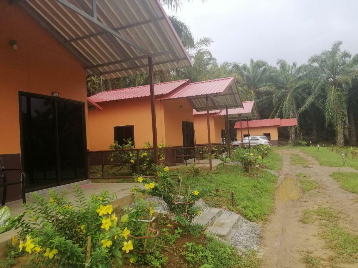 Khao Sok Evergreen House Holiday park Khao Sok National Park