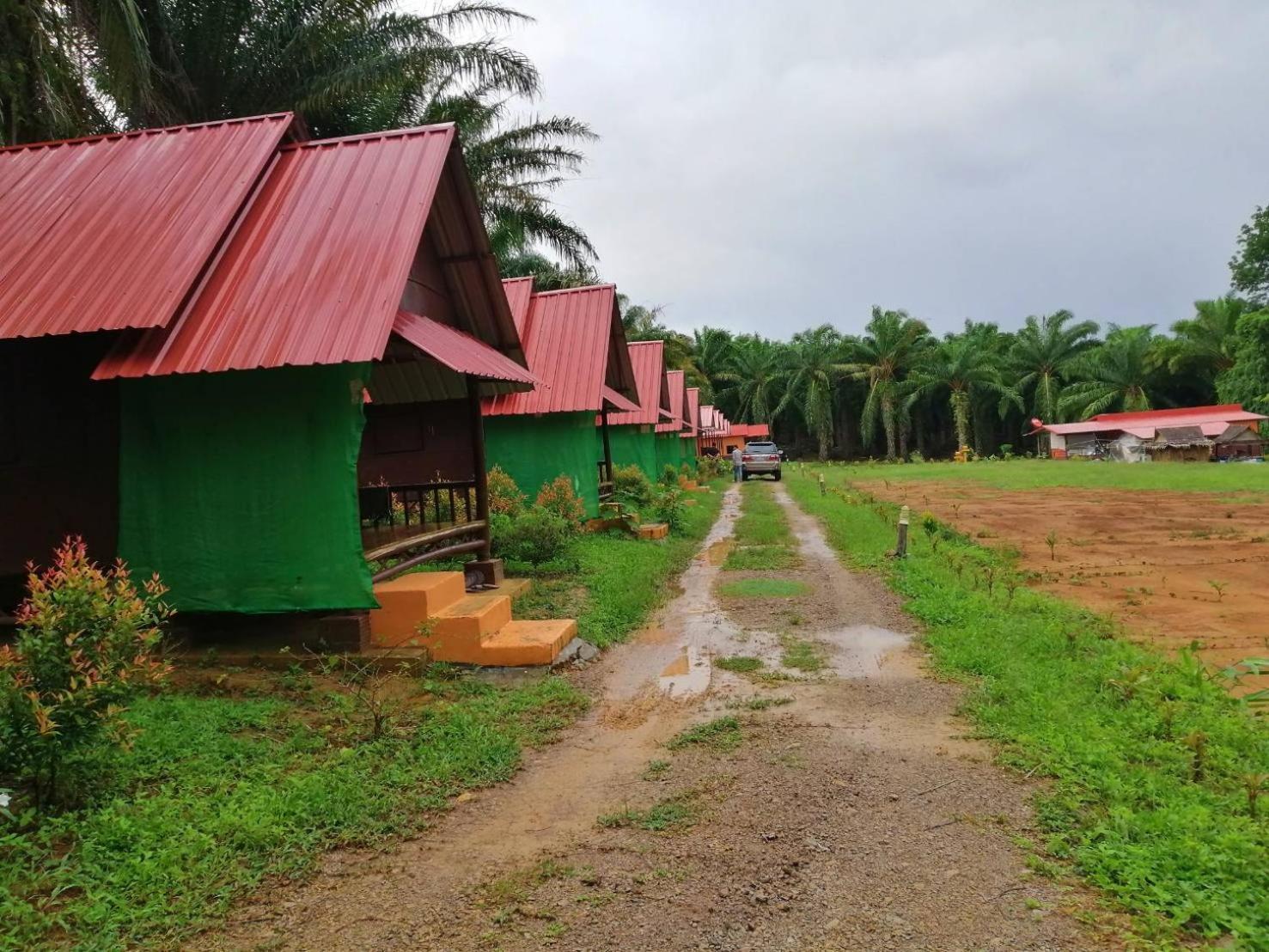Khao Sok Evergreen House Holiday park Khao Sok National Park