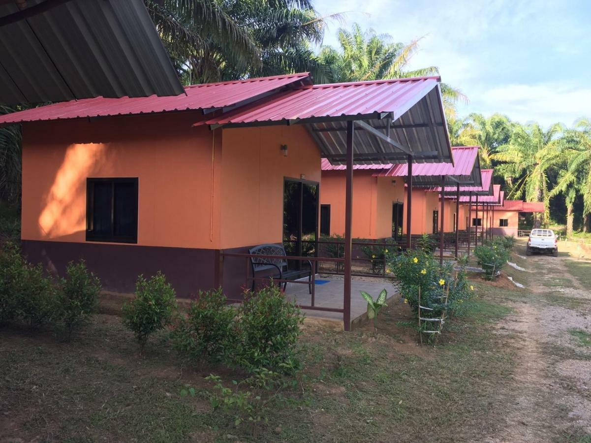 Khao Sok Evergreen House Holiday park Khao Sok National Park