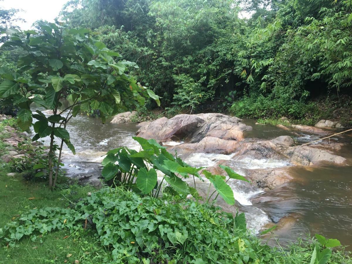 Guest house Lunda Orchid 3*