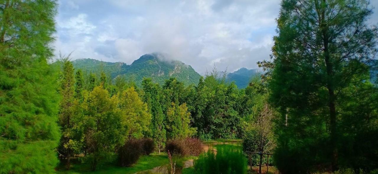 The Birder's Khao Yai