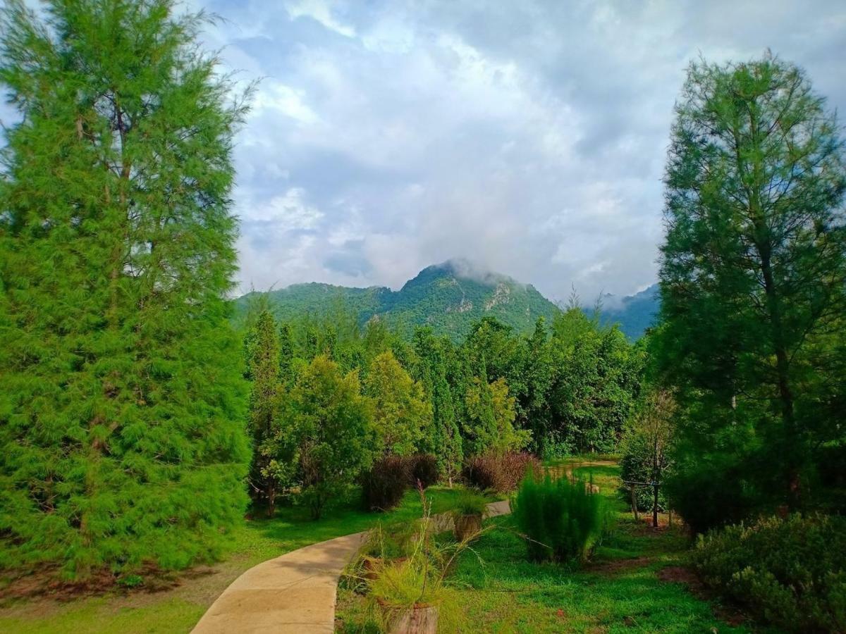 The Birder's Khao Yai *