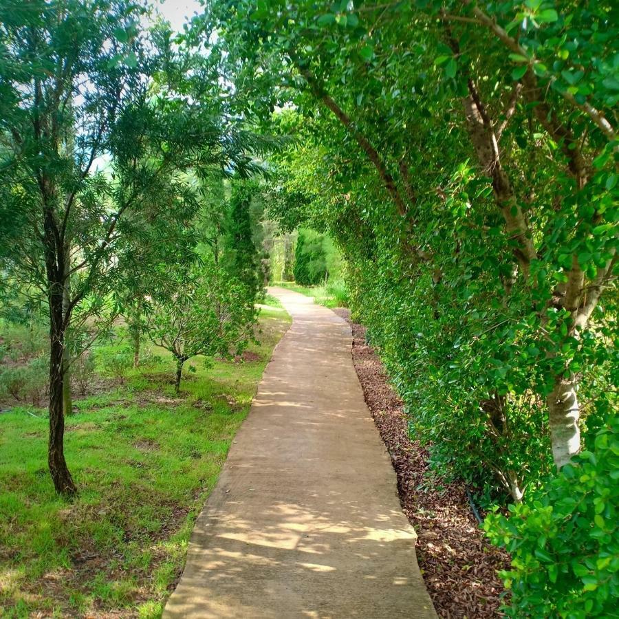 The Birder's Khao Yai Pakchong