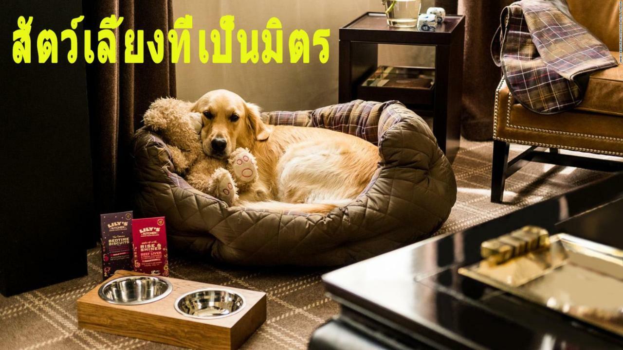 Mini-golf **** & 3* Ubon Ratchathani