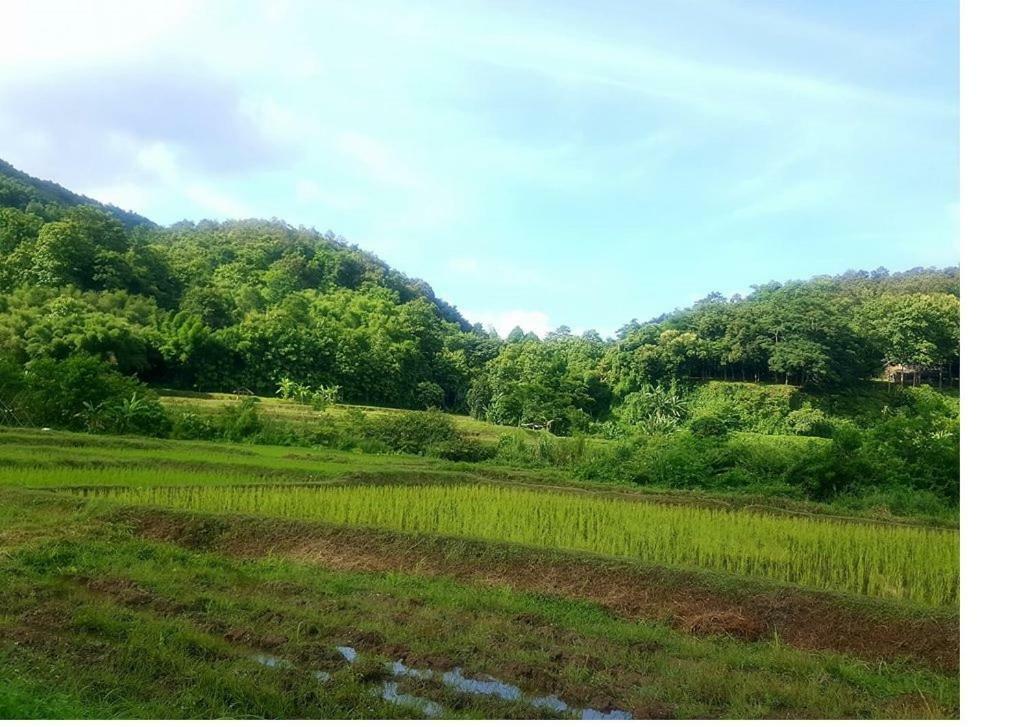 Resort Peisanae Faikeng 3*