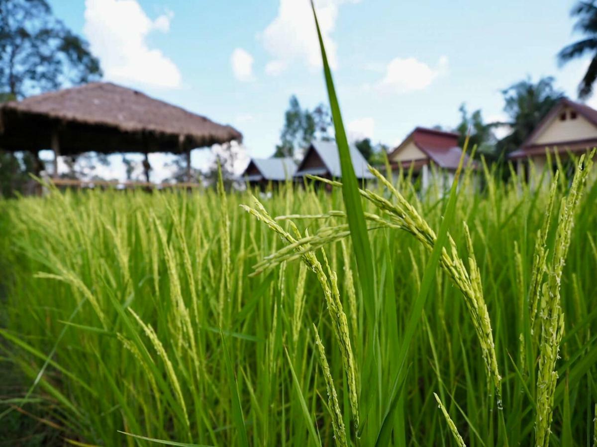 Baan Thung * Prasat