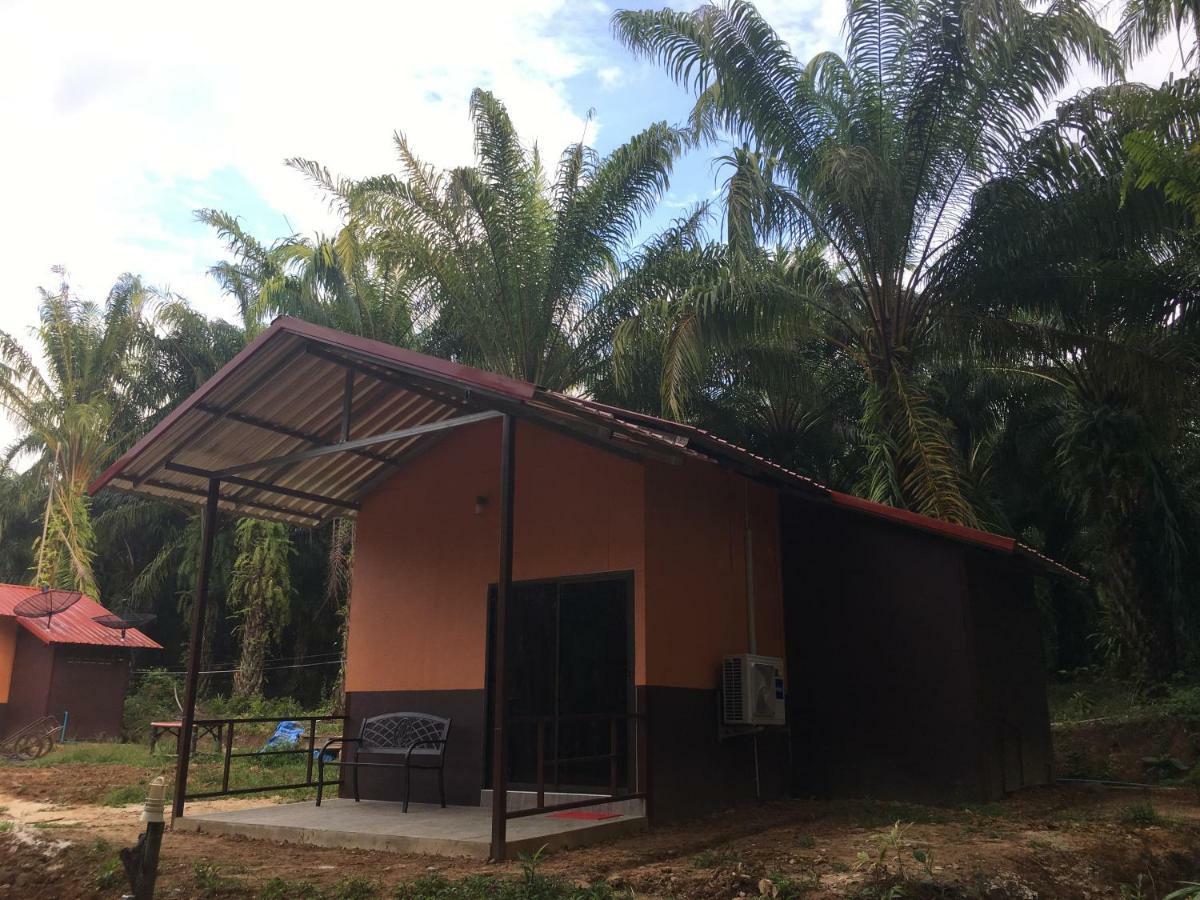 Khao Sok Evergreen House *
