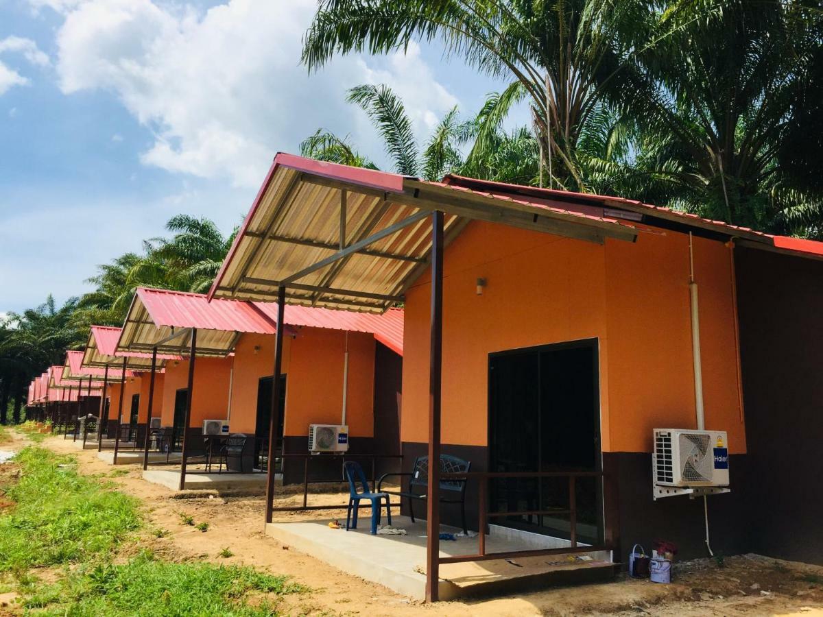 Khao Sok Evergreen House *