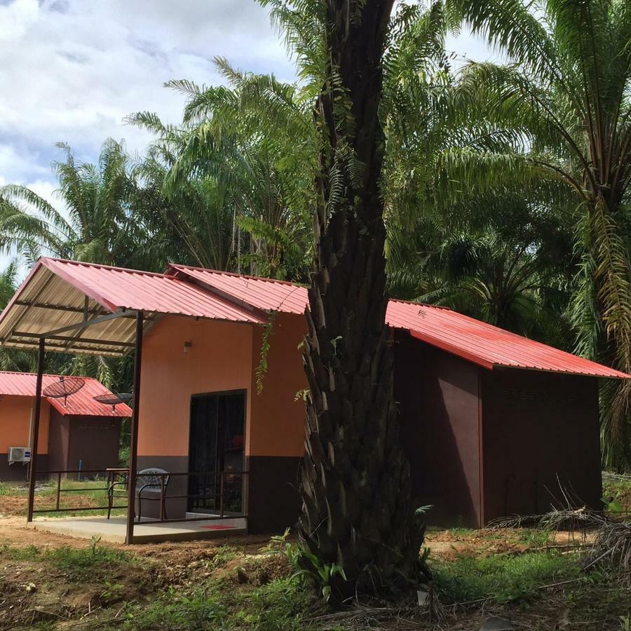 Khao Sok Evergreen House Holiday park