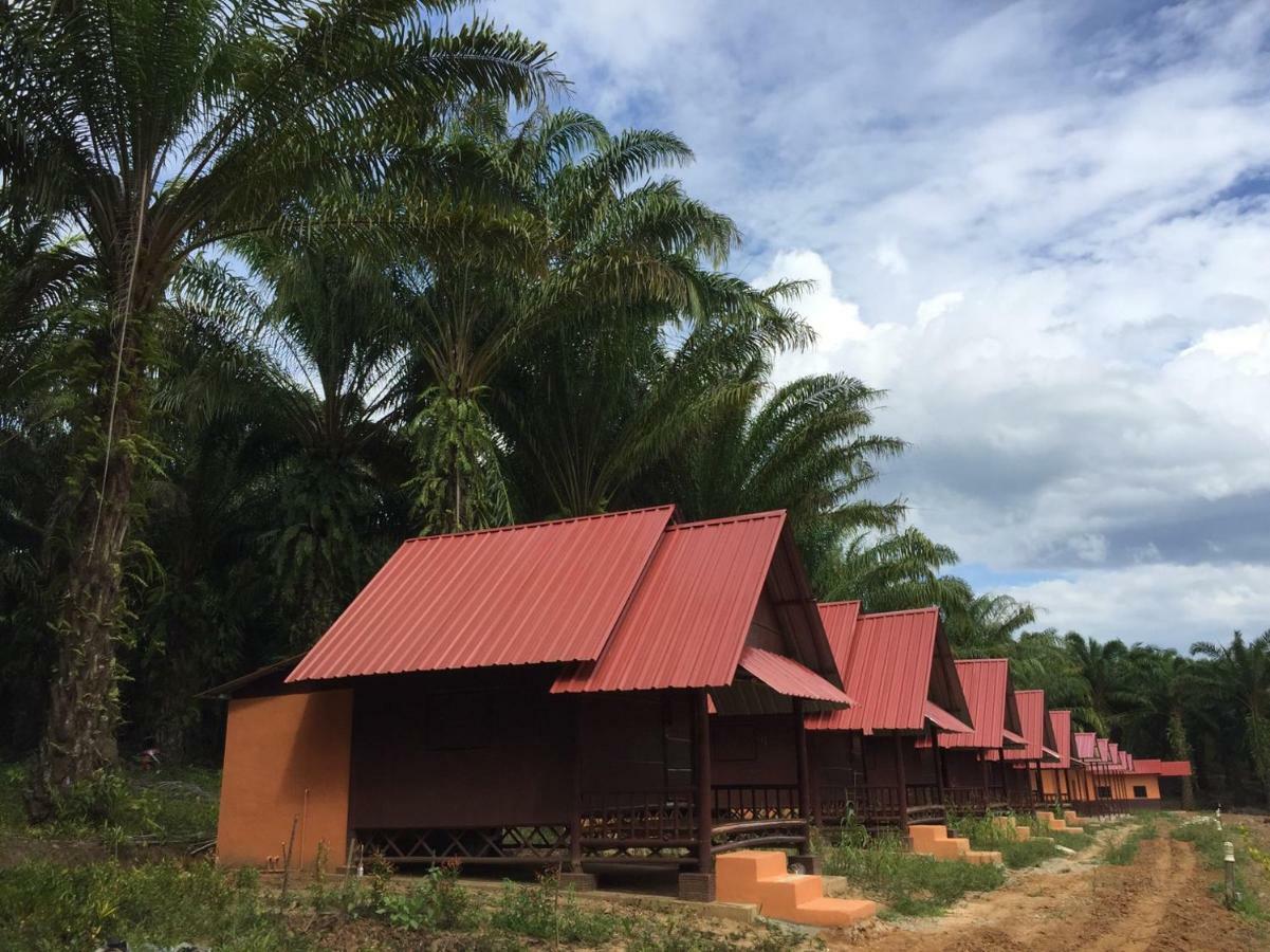 Khao Sok Evergreen House *