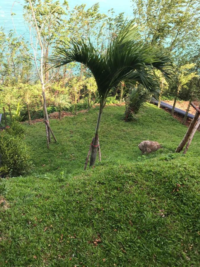 Fabuleuse Alizes Vue Mer, Avec Staff Et Vehicule 4x4 Villa Ban Bang Po