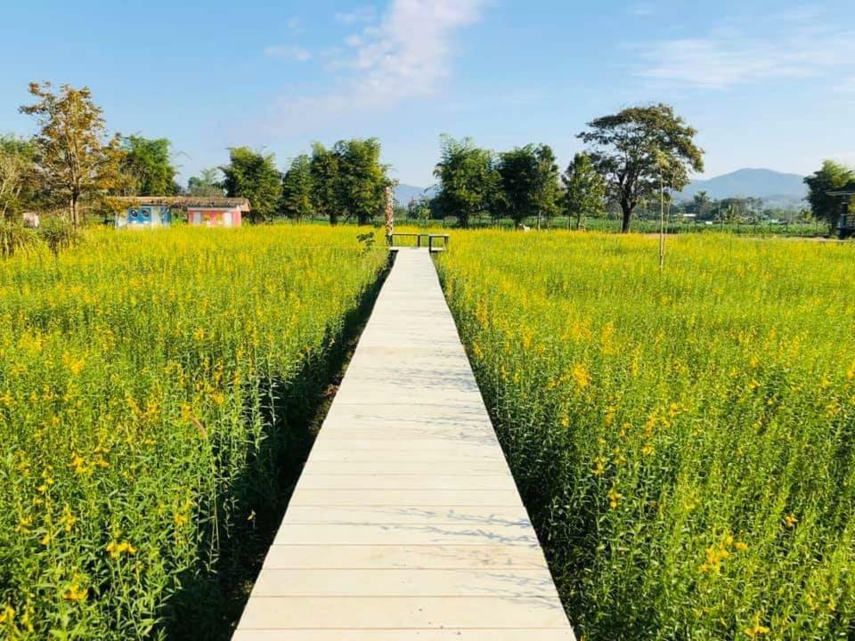Ban Thung Talay Mok Chiangdao