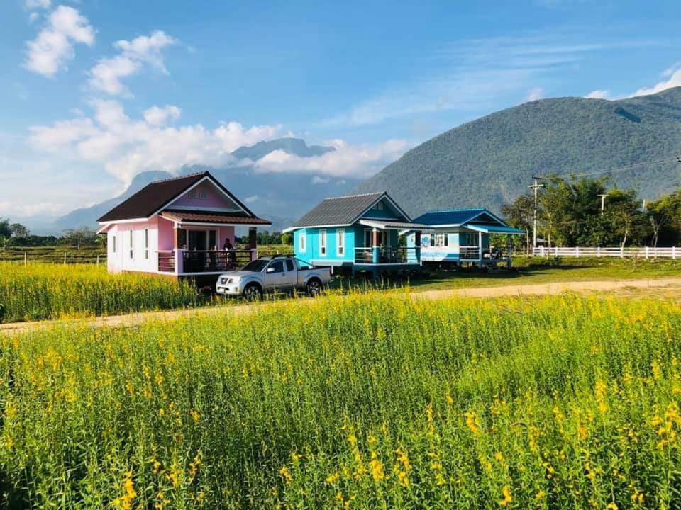 Holiday park Ban Thung Talay Mok Chiangdao