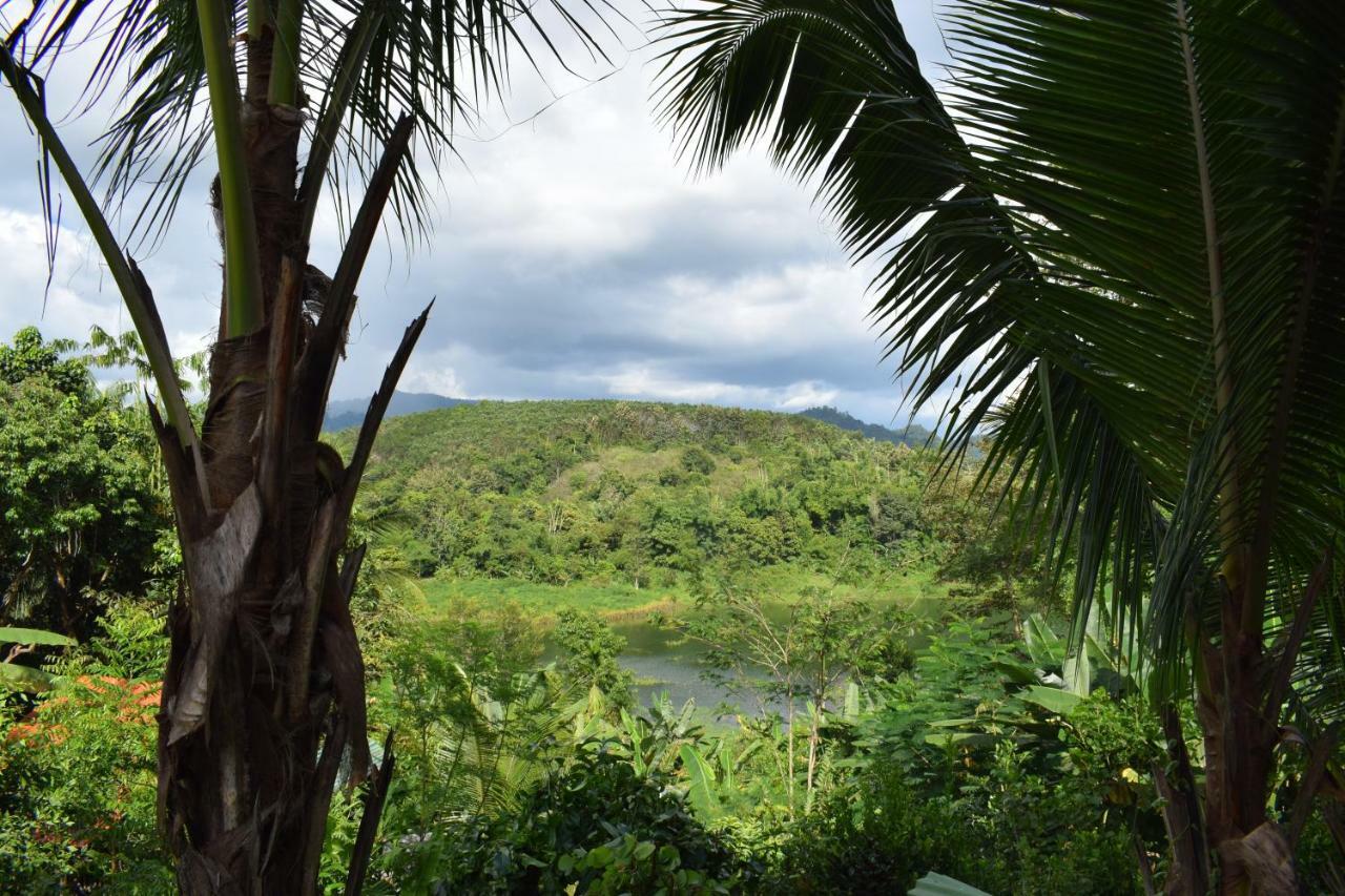Scenns Guest house *