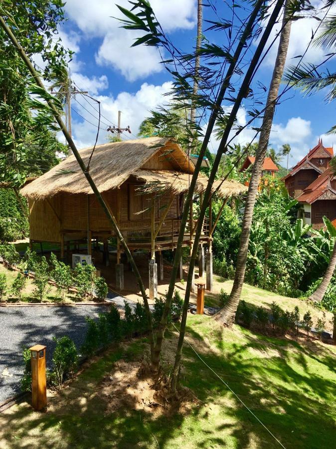 Kalulushi Ko Pha Ngan