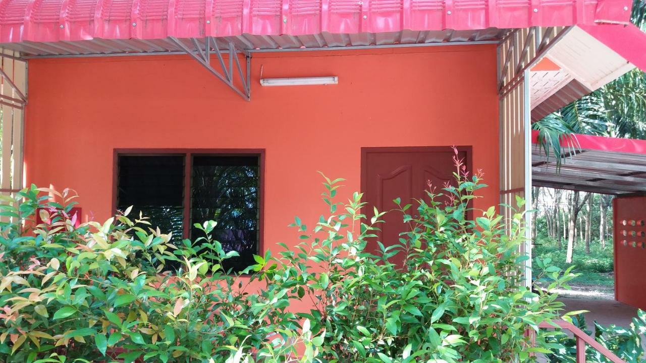 Palm Kaew